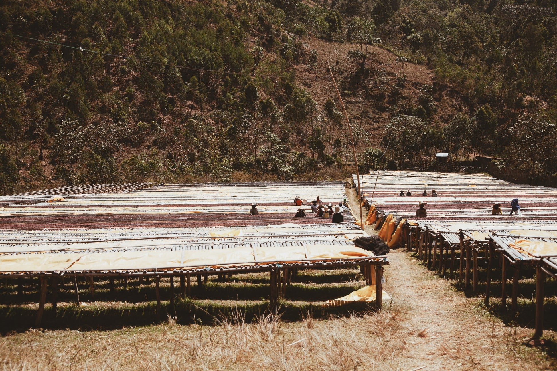 ALYA BOMBE - ETHIOPIA