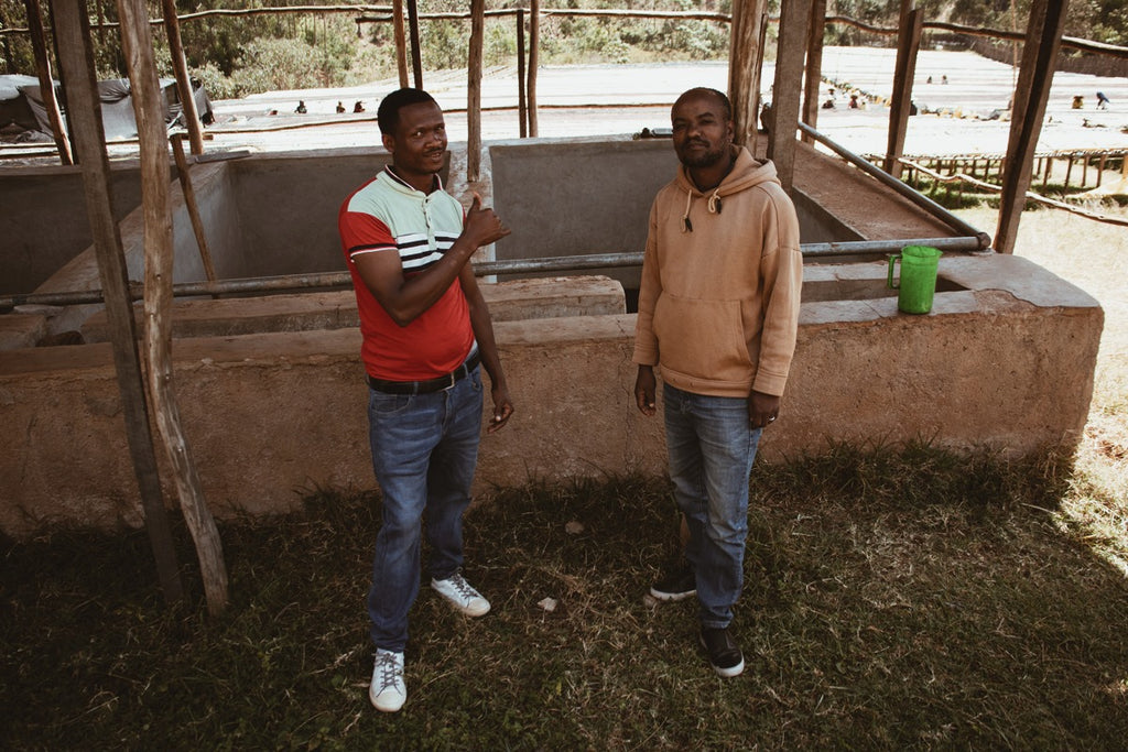 ALYA BOMBE - ETHIOPIA