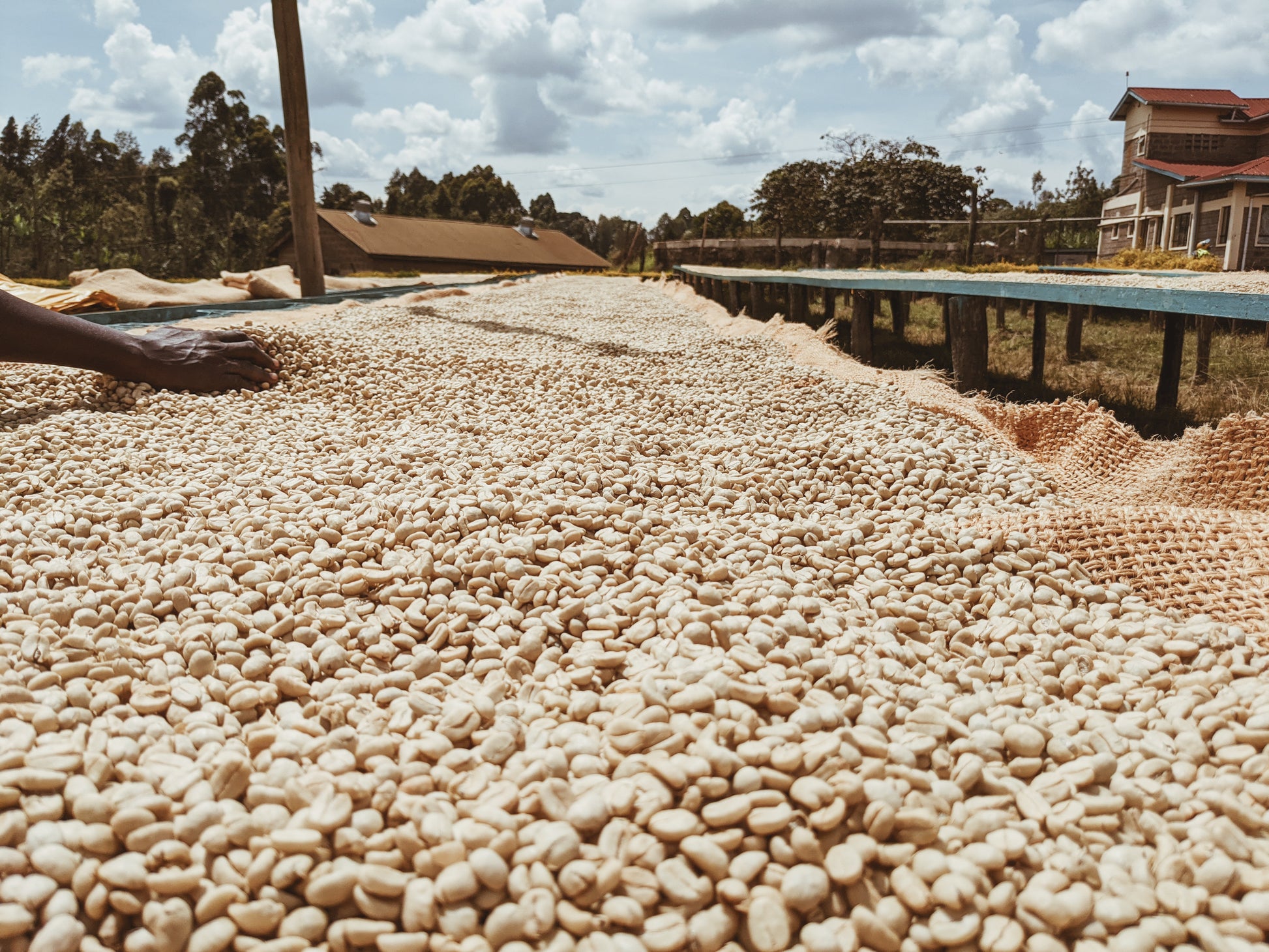 GICHATHAINI AA - KENYA