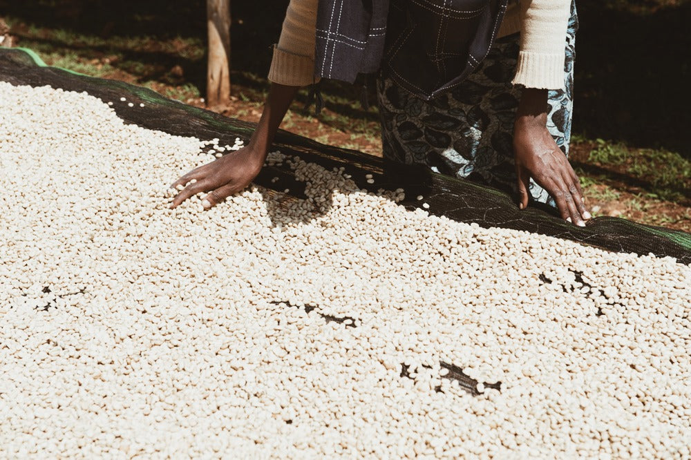 ALYA BOMBE - ETHIOPIA